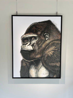 Silverback Gorilla Print on Framed Canvas