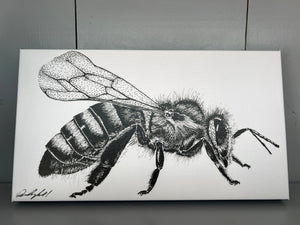 Buzz Print on Canvas Gallery Wrap