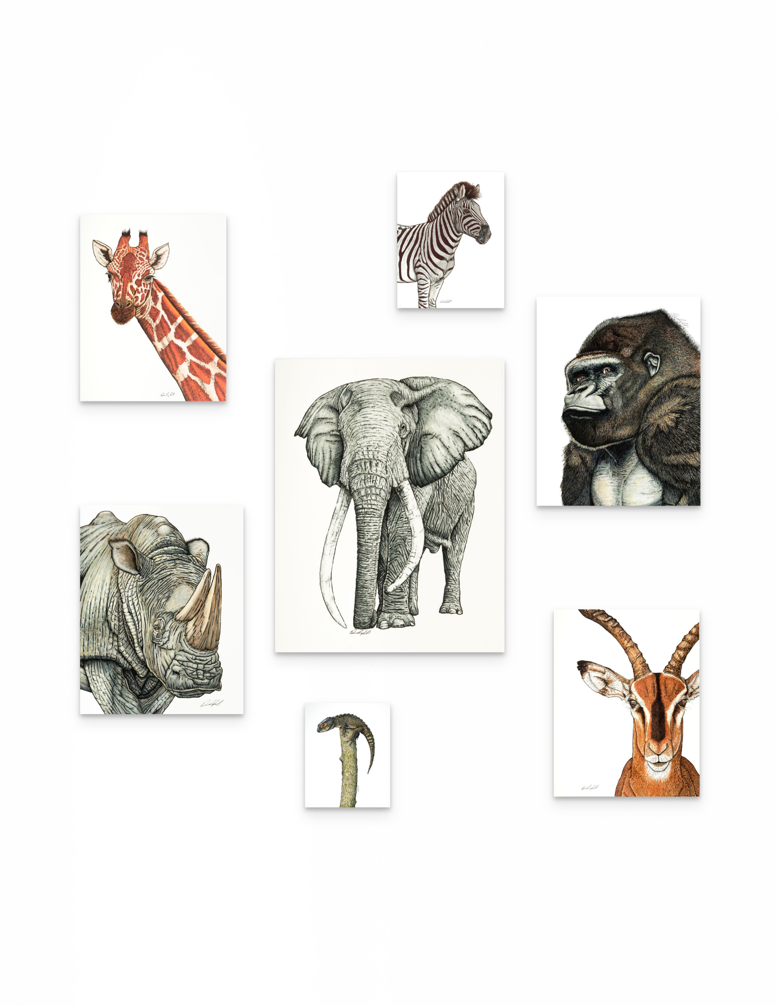 African Animals Seven Print Signature Collection