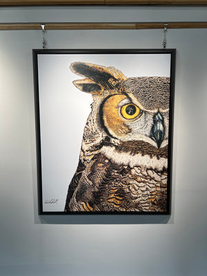 Great Horned Owl Print on Framed Canvas