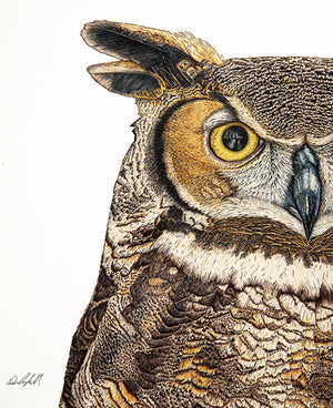 Great Horned Owl Print on Fine Art Paper