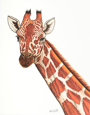 Giraffe Print on Fine Art Paper