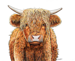 Highland Cow Print in Barnwood Frame