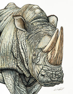 White Rhinoceros Print on Fine Art Paper