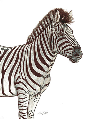 Zebra Print on Fine Art Paper