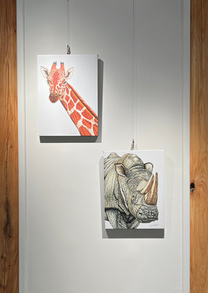 White Rhinoceros Print on Canvas Gallery Wrap