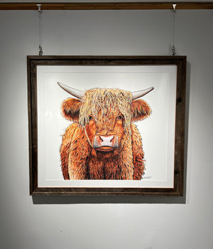 Highland Cow Print in Barnwood Frame