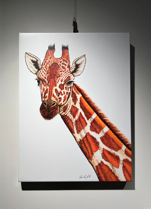 Giraffe Print on Canvas Gallery Wrap