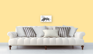 Buzz Print on Canvas Gallery Wrap