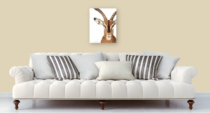 Impala Print on Canvas Gallery Wrap