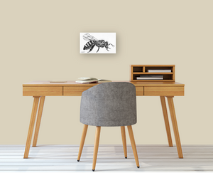 Buzz Print on Fine Art Paper