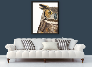 Great Horned Owl Print on Framed Canvas