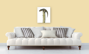 Crocodile Skink on Satin MetalPrint