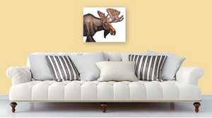 Moose Print on Canvas Gallery Wrap