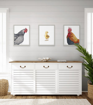 Rooster Print on Fine Art Paper