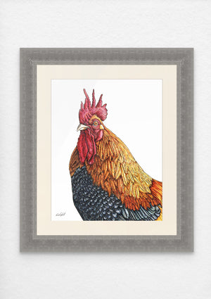 Rooster Print on Fine Art Paper