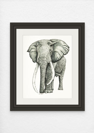 African Bush Elephant Print on Fine Art Paper