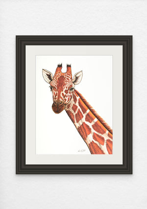 Giraffe Print on Fine Art Paper