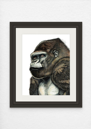 Silverback Gorilla Print on Fine Art Paper