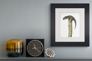 Crocodile Skink Print on Fine Art Paper