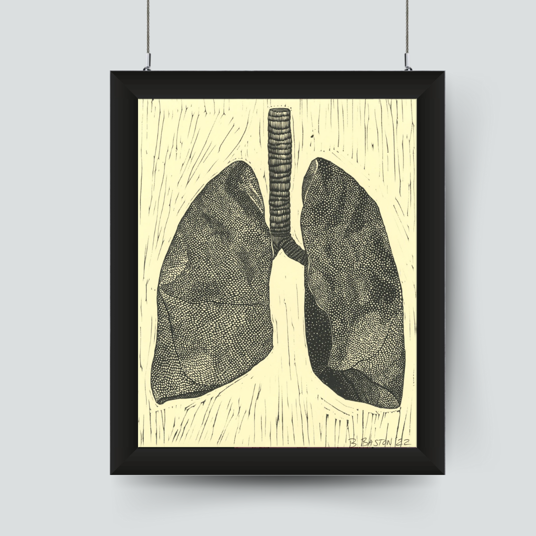 Lungs