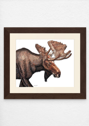 Moose Print on Fine Art Paper