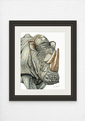 White Rhinoceros Print on Fine Art Paper