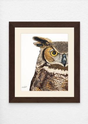 Great Horned Owl Print on Fine Art Paper