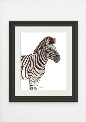 Zebra Print on Fine Art Paper